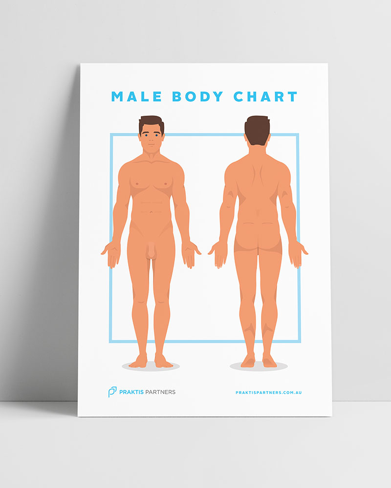 Male Body Chart